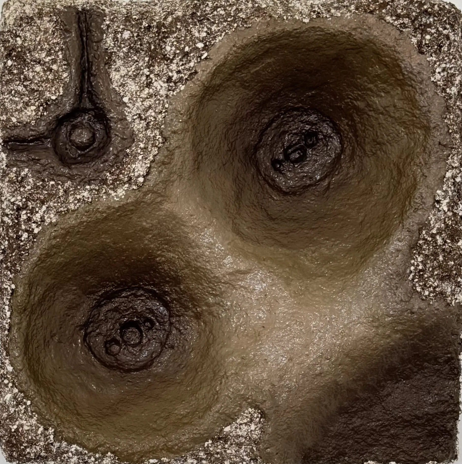 VENUS#7.1