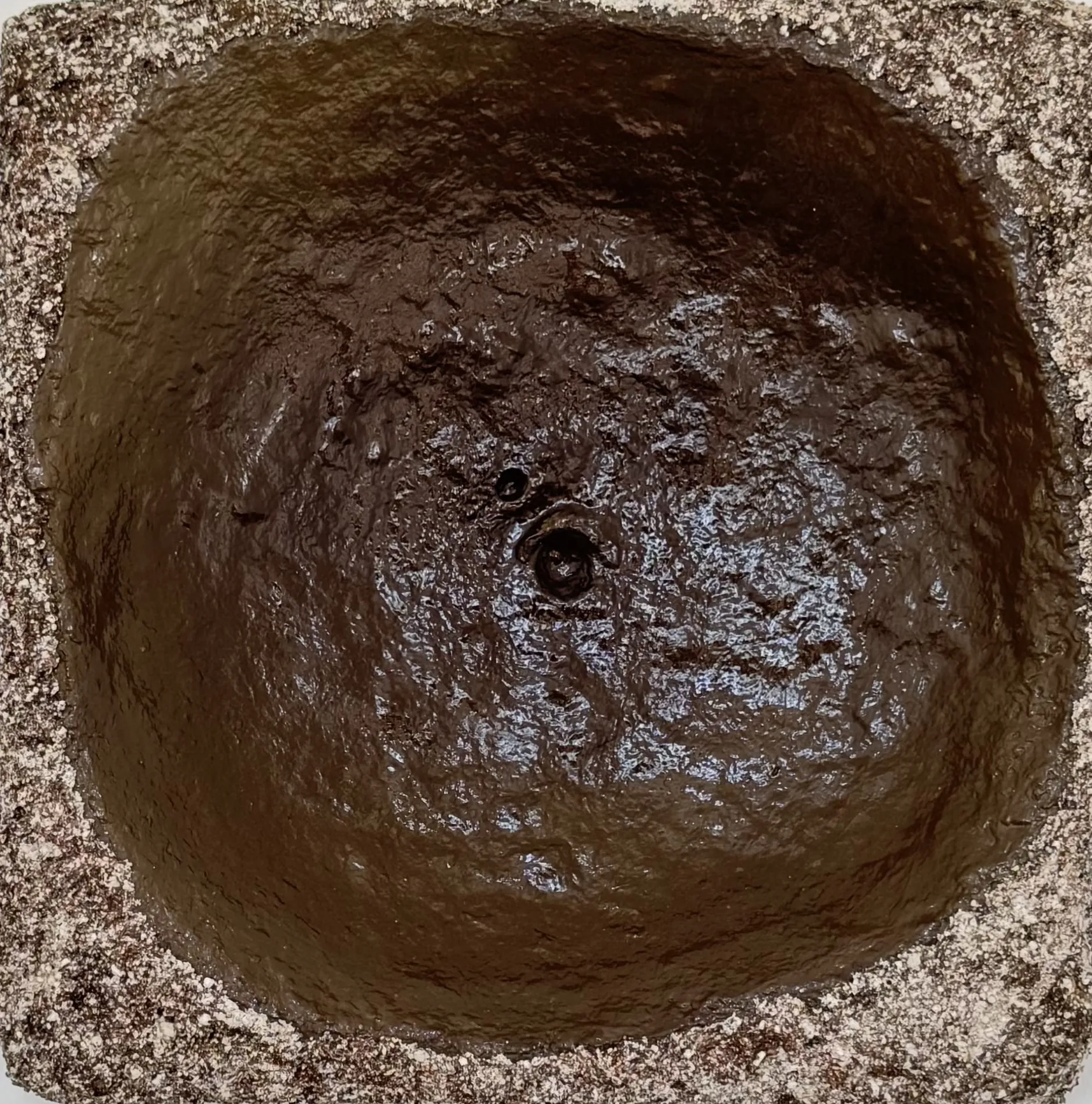 VENUS#7.2