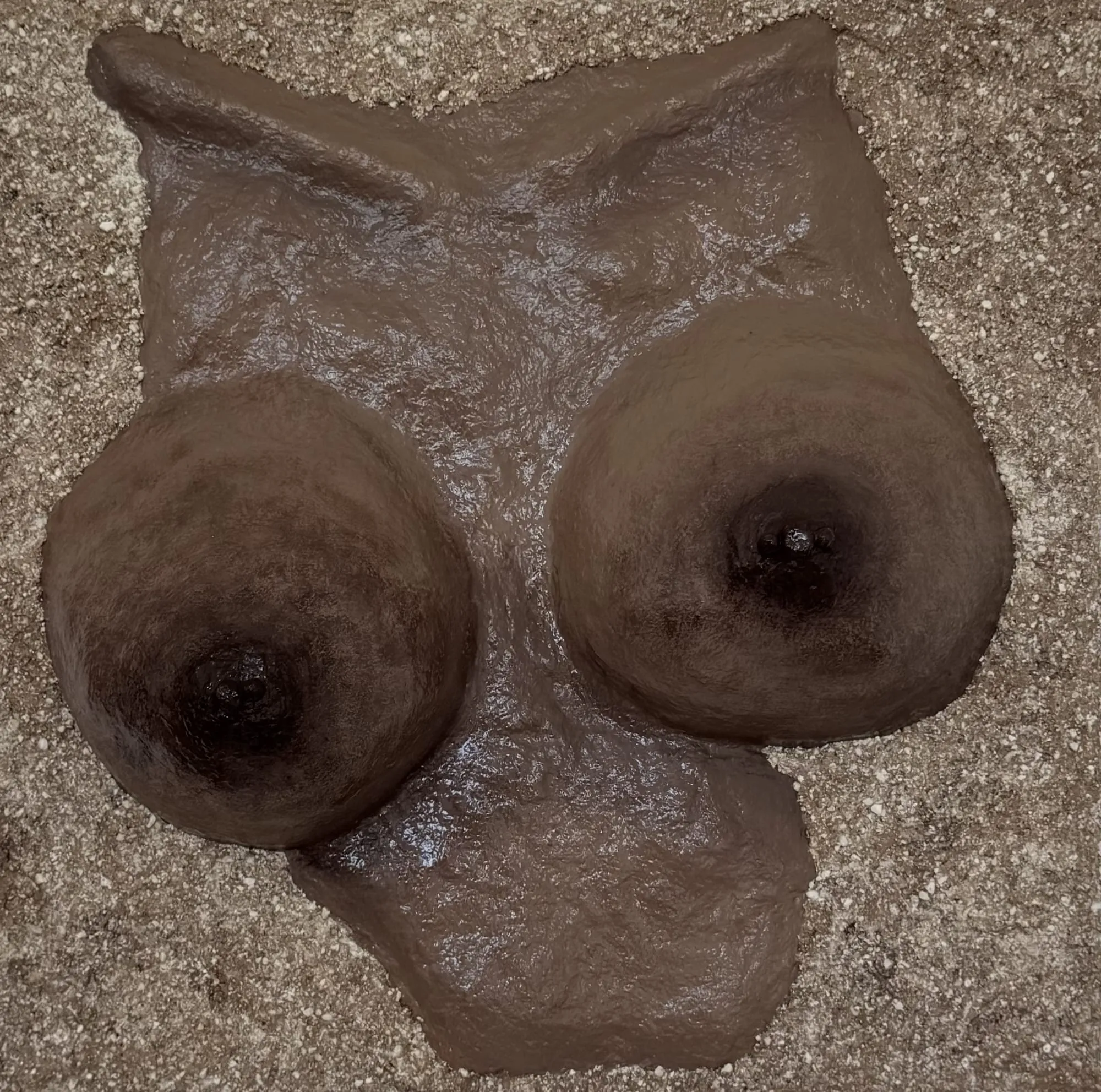 VENUS#3