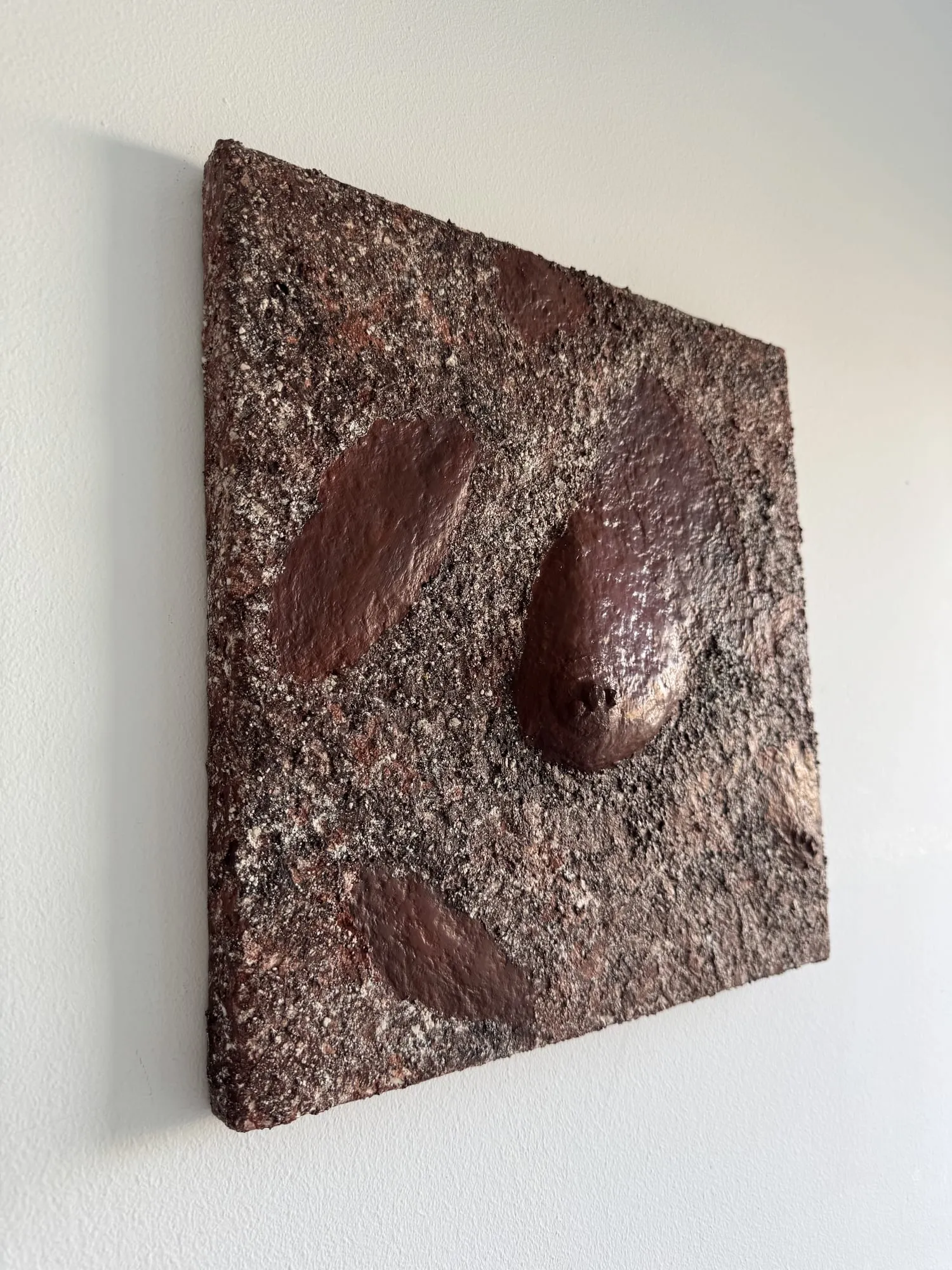 VENUS#1