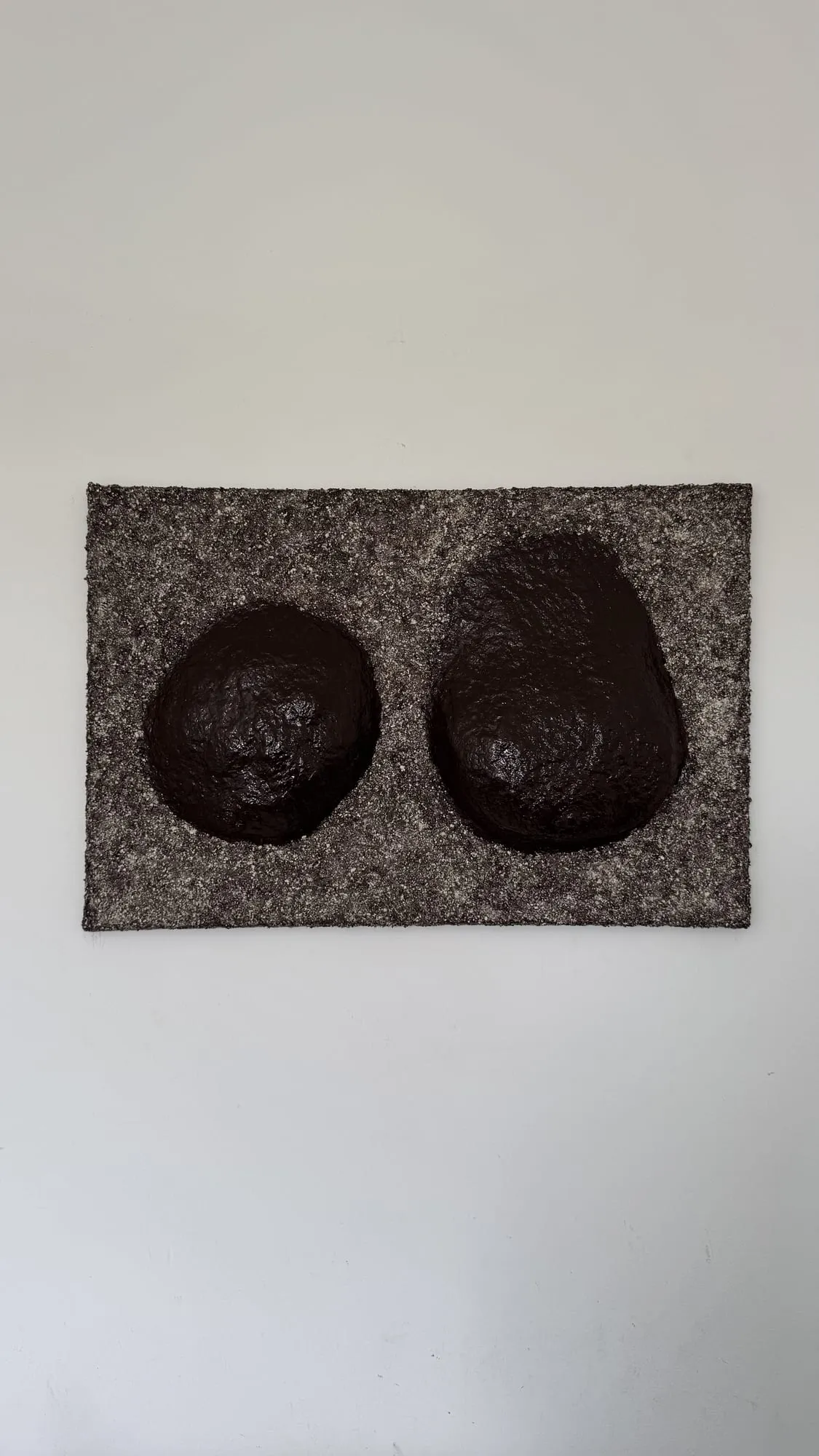 VENUS#4