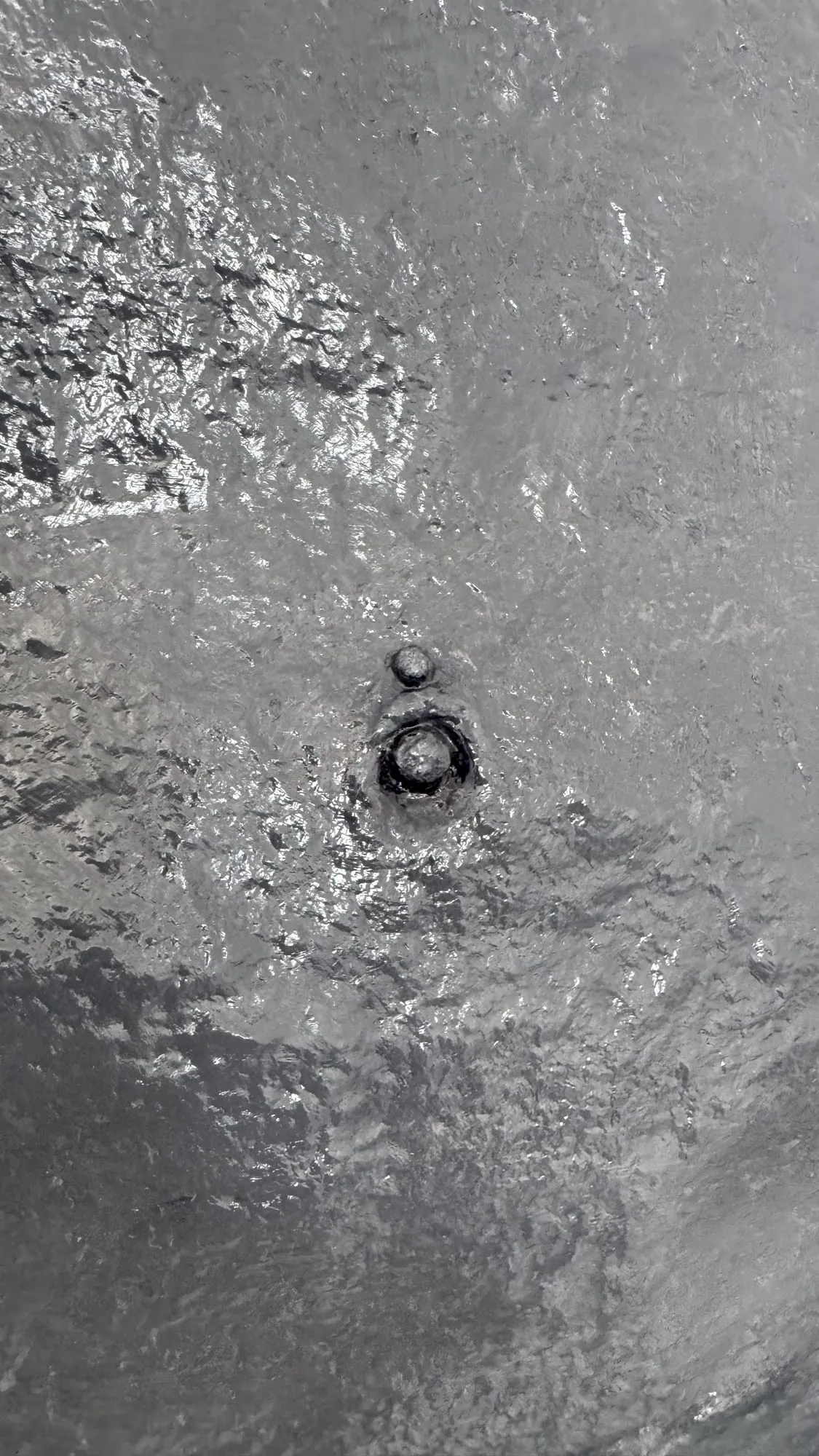 VENUS#2